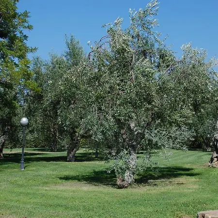 Agriturismo Le Coccinelle * Magliano in Toscana