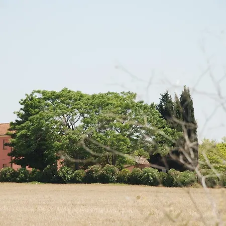 Agriturismo Le Coccinelle Lantställe Magliano in Toscana
